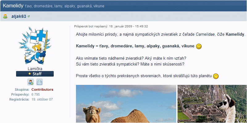 Obrázok